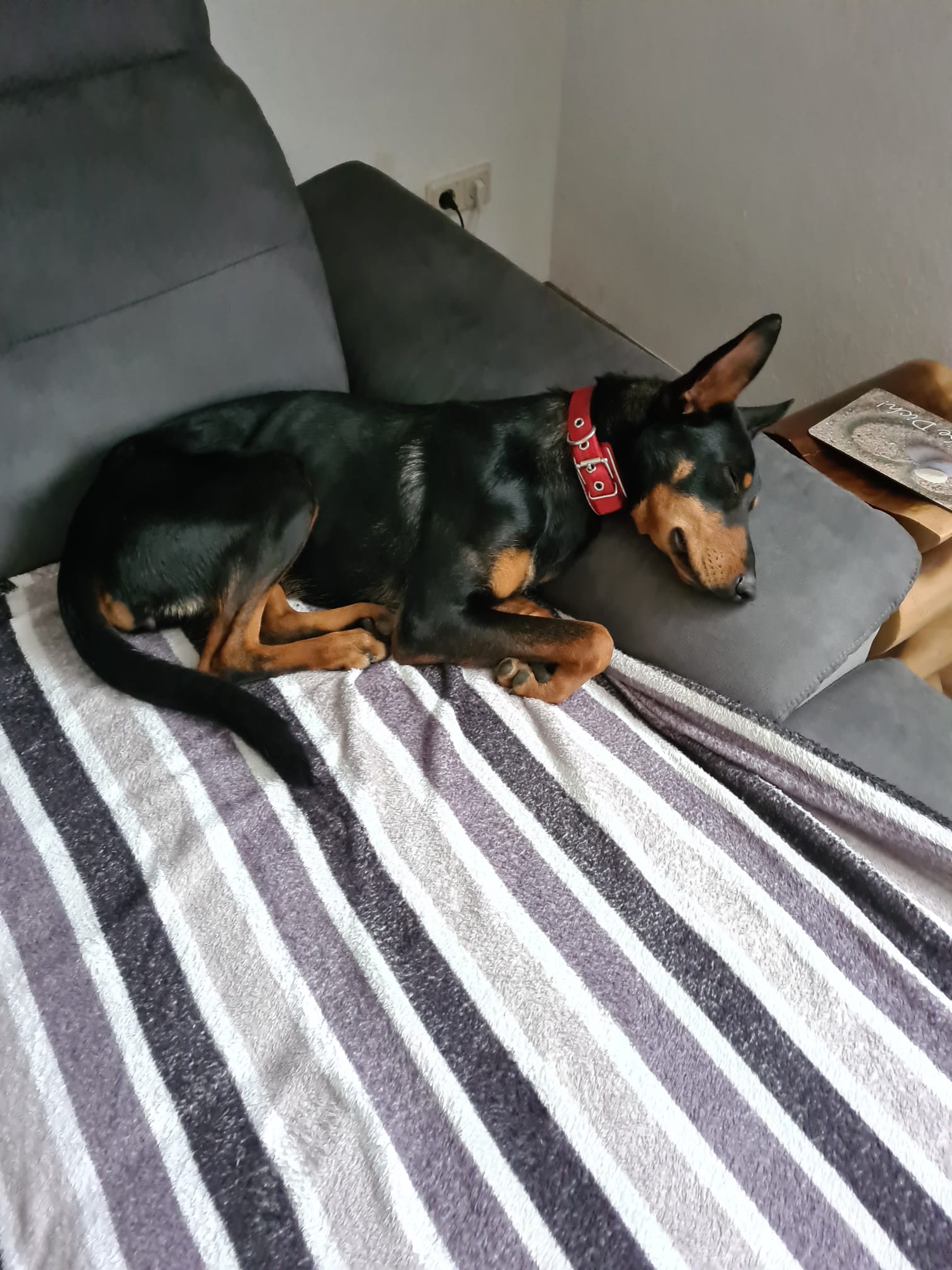 WAS IST AUS JETTE GEWORDEN???